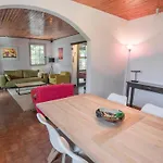 Pin Parasol * Roquebrune-sur Argens