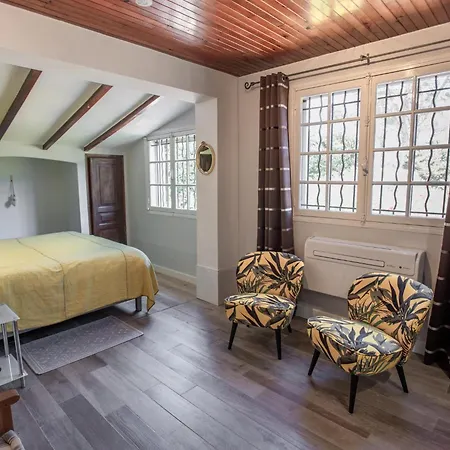 Pin Parasol * Roquebrune-sur Argens