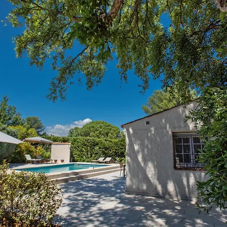 Pin Parasol * Roquebrune-sur Argens