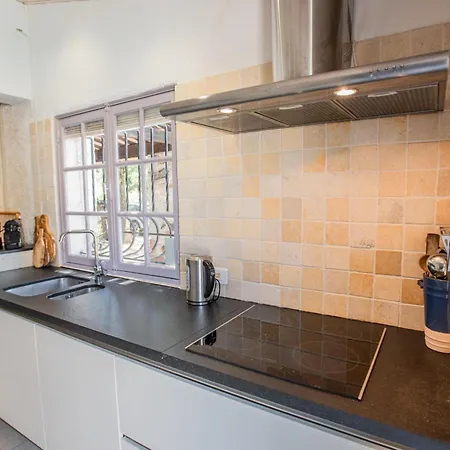 Pin Parasol Roquebrune-sur Argens