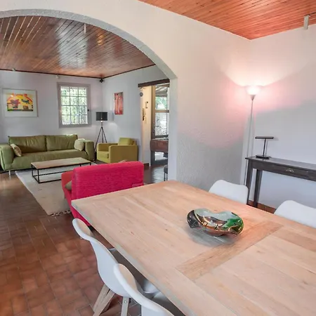 Pin Parasol * Roquebrune-sur Argens