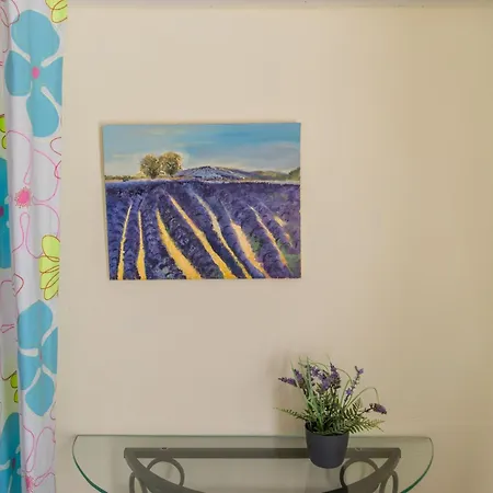 Pin Parasol Roquebrune-sur Argens