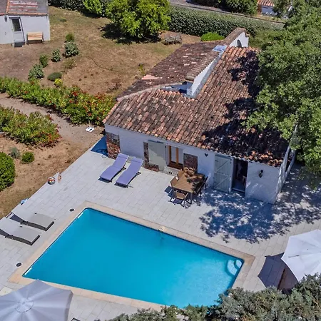 Pin Parasol Roquebrune-sur Argens