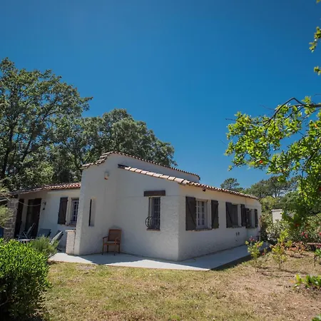 Pin Parasol * Roquebrune-sur Argens